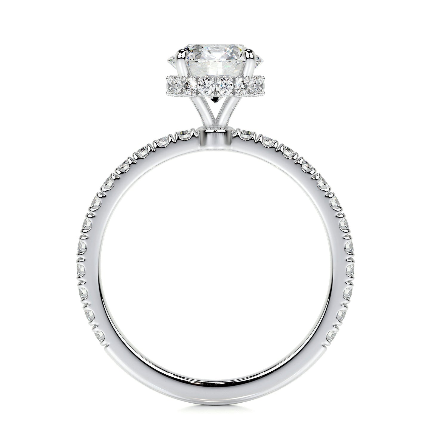 1.0 CT Round Hidden Halo CVD D/VS2 Diamond Engagement Ring 5