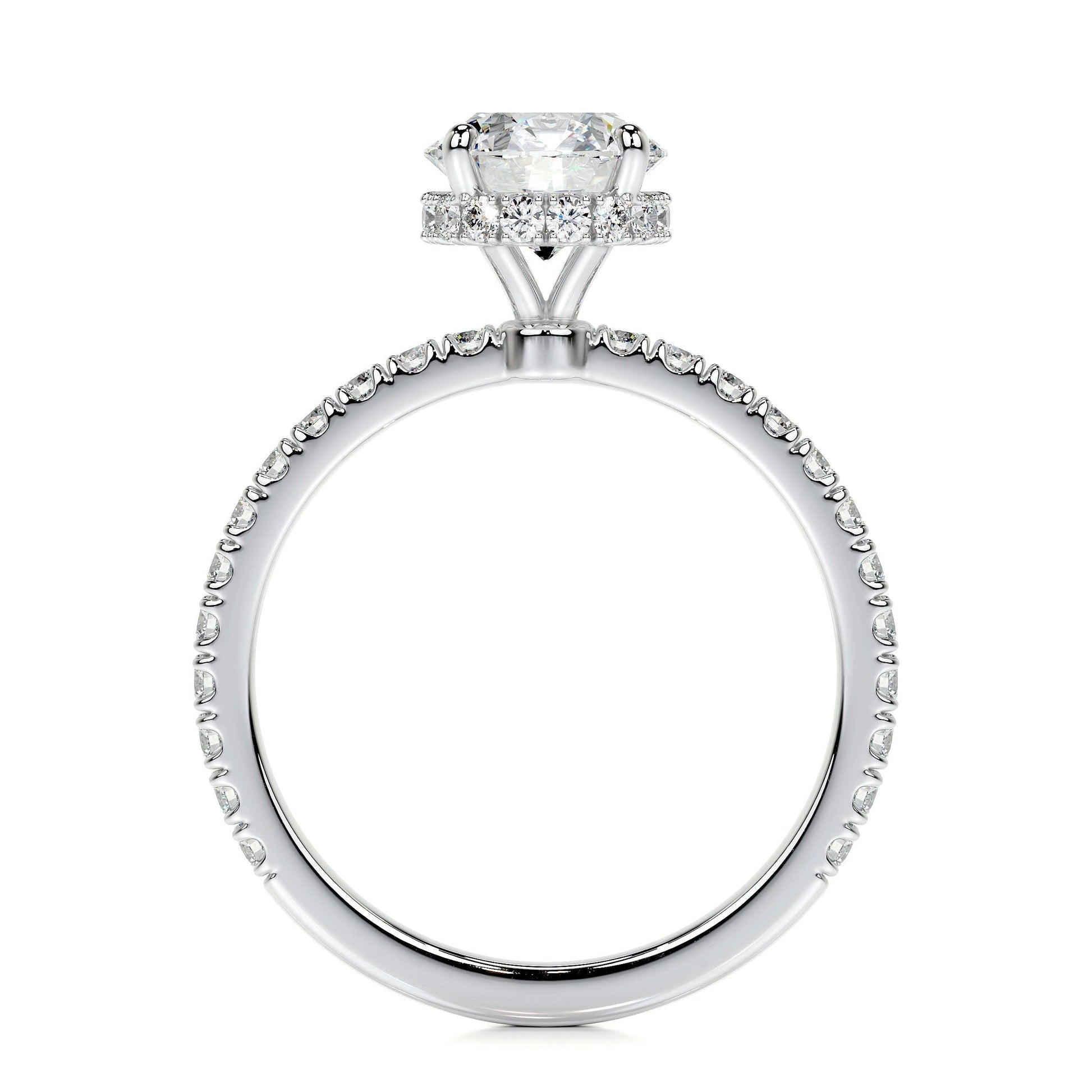 1.0 CT Round Hidden Halo CVD D/VS2 Diamond Engagement Ring 5