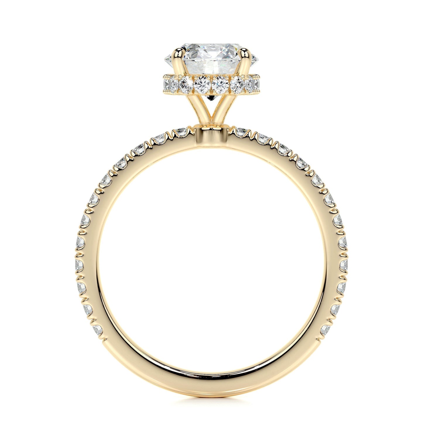 1.0 CT Round Hidden Halo CVD D/VS2 Diamond Engagement Ring 14